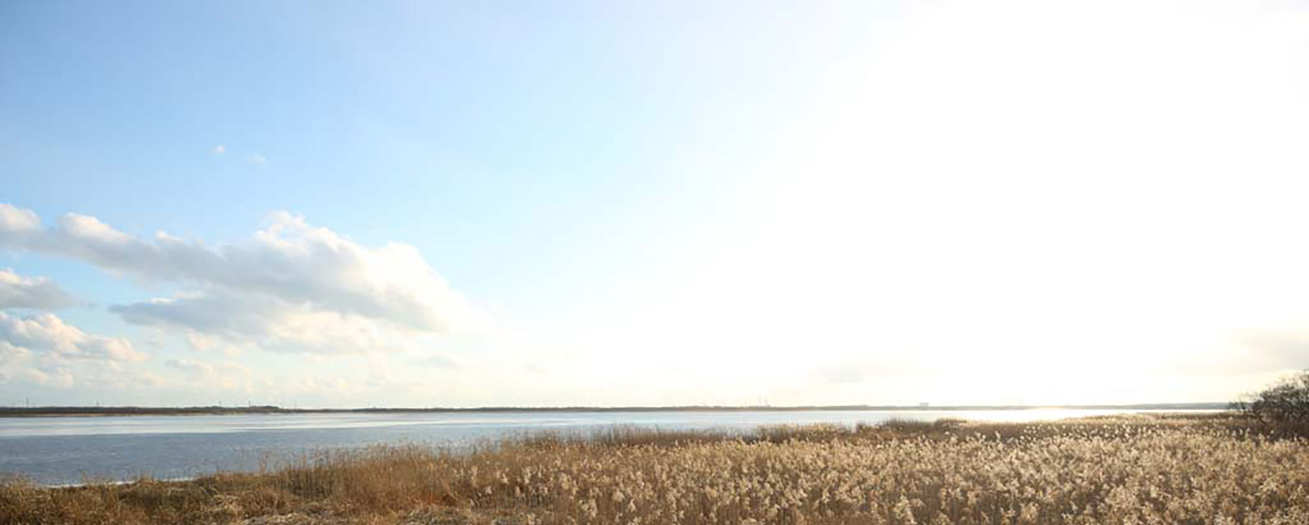 苫小牧 ウトナイ湖写真